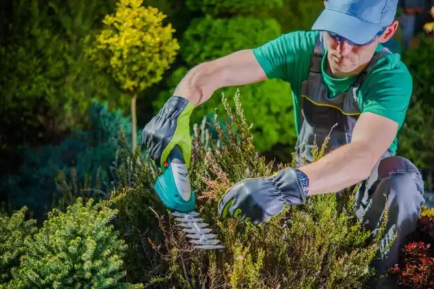 landscaping services West Bay Shore